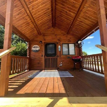 Picturesque Family Cabin With Loft In Tennessee 塞维尔维尔 外观 照片